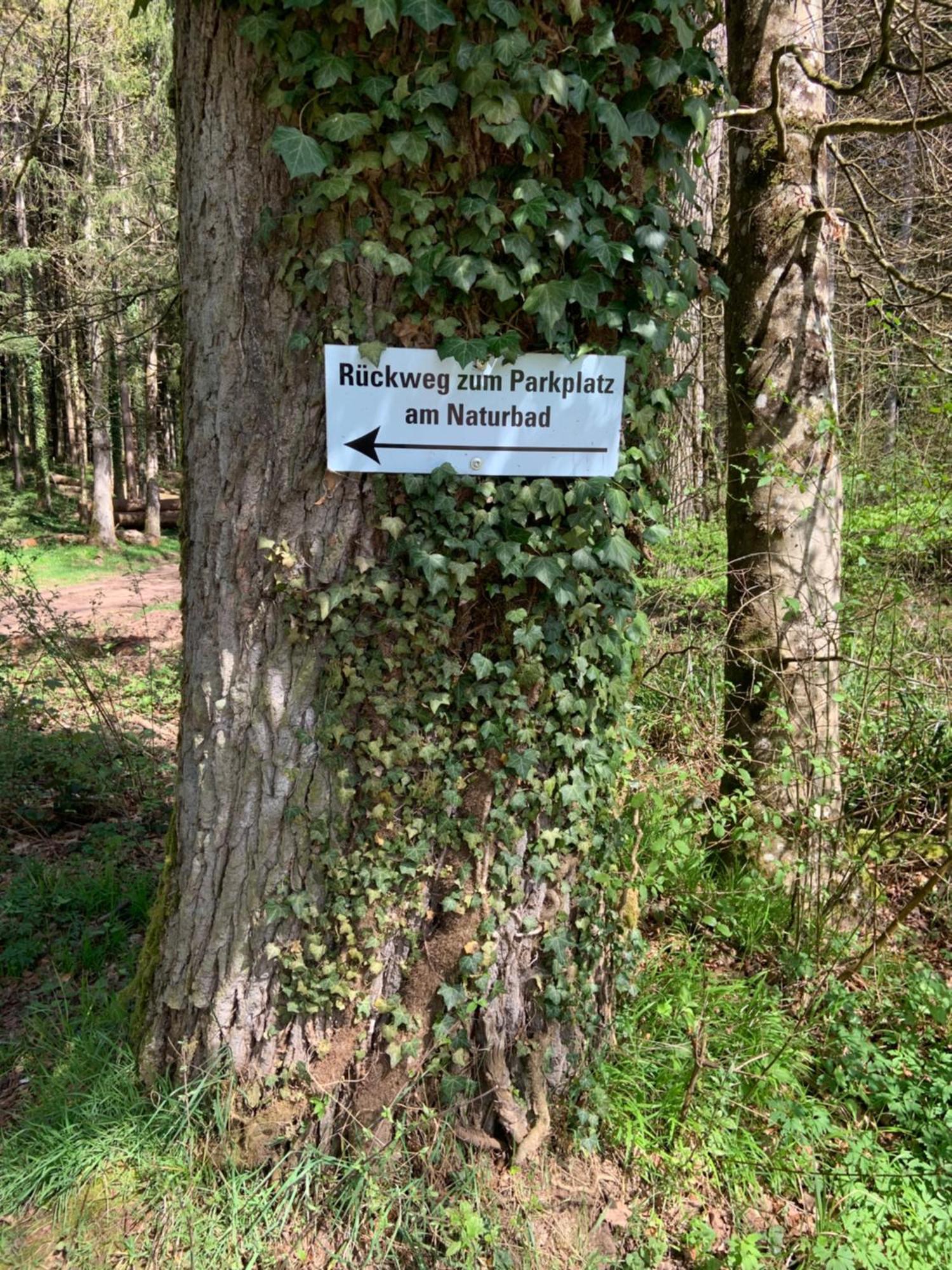 Appartement Sulzbachtal In Lahr, Naehe Europapark, Naehe Rulantica Lahr  Exterior foto